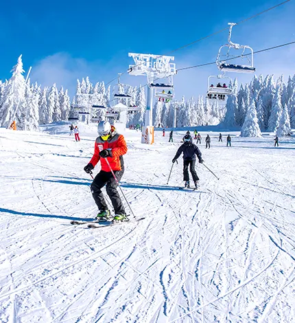 Les meilleurs spots et stations de ski