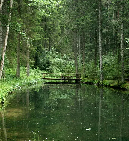 Les parcs nationaux epoustouflants